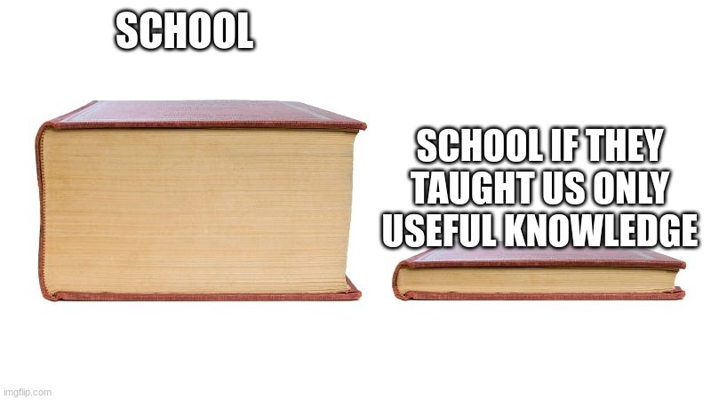 boring school books | SCHOOL; SCHOOL IF THEY TAUGHT US ONLY USEFUL KNOWLEDGE | image tagged in thick book thin book | made w/ Imgflip meme maker