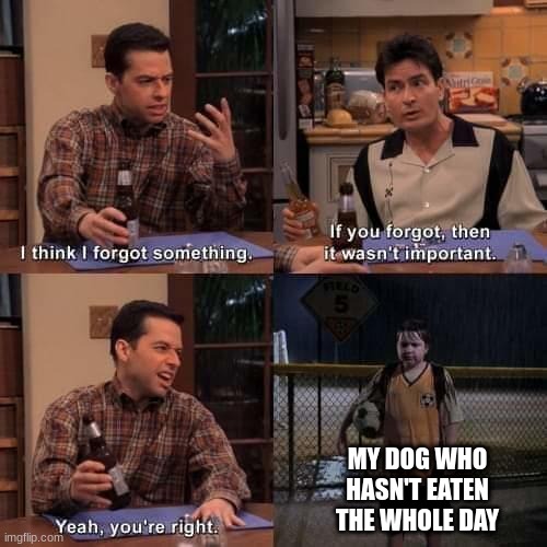 my dog... | MY DOG WHO HASN'T EATEN THE WHOLE DAY | image tagged in i think i forgot something | made w/ Imgflip meme maker