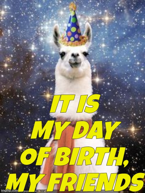 And I still hate furries | IT IS MY DAY OF BIRTH, MY FRIENDS | image tagged in birth,time,four,me | made w/ Imgflip meme maker