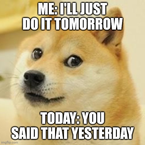 Procrastinator | ME: I'LL JUST DO IT TOMORROW; TODAY: YOU SAID THAT YESTERDAY | image tagged in corgi | made w/ Imgflip meme maker