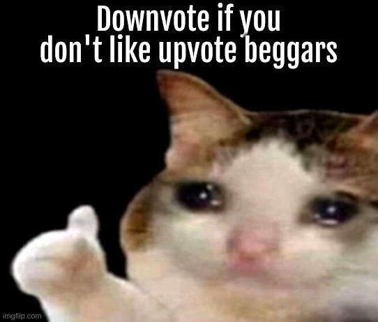 do it | Downvote if you don't like upvote beggars | image tagged in sad cat thumbs up | made w/ Imgflip meme maker