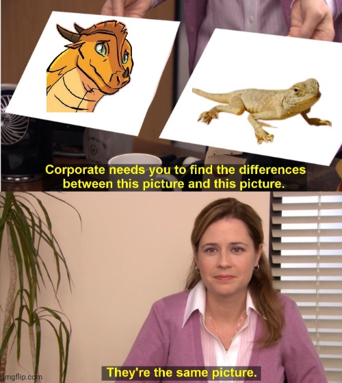 Sunny | image tagged in memes,they're the same picture | made w/ Imgflip meme maker