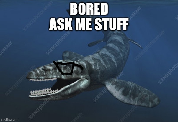 Plioplatweeb | BORED
ASK ME STUFF | image tagged in plioplatweeb | made w/ Imgflip meme maker