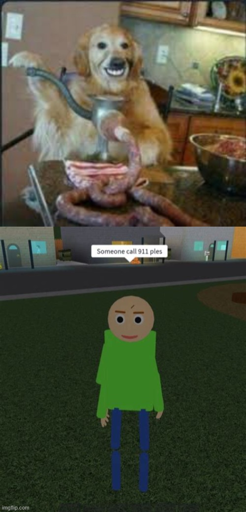 Please, this is not normal | image tagged in meat dog,someone call 911 ples | made w/ Imgflip meme maker