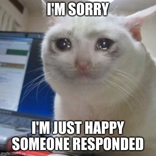 Crying cat | I'M SORRY I'M JUST HAPPY SOMEONE RESPONDED | image tagged in crying cat | made w/ Imgflip meme maker