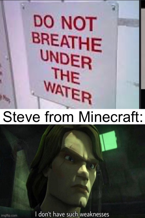 Big brain Lego boi | Steve from Minecraft: | image tagged in big brain lego boi | made w/ Imgflip meme maker