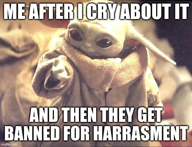 Baby Yoda looking at his hand | ME AFTER I CRY ABOUT IT; AND THEN THEY GET BANNED FOR HARRASMENT | image tagged in baby yoda looking at his hand | made w/ Imgflip meme maker