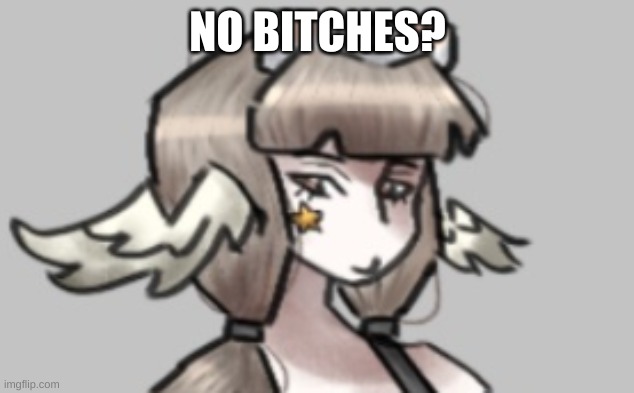 NO BITCHES? | made w/ Imgflip meme maker