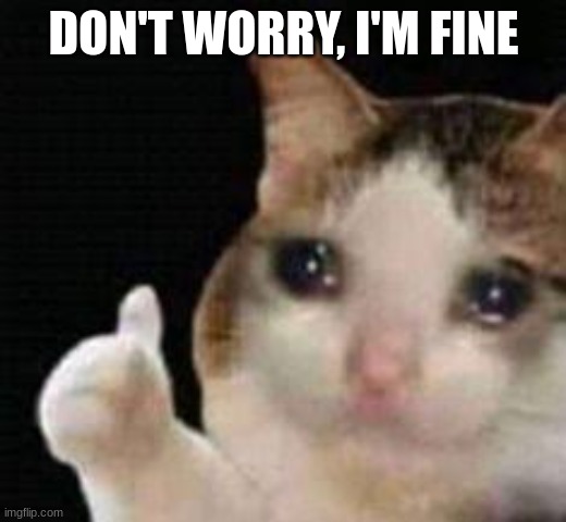 Approved crying cat | DON'T WORRY, I'M FINE | image tagged in approved crying cat | made w/ Imgflip meme maker
