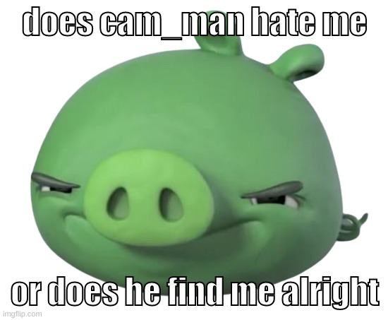 just asking | does cam_man hate me; or does he find me alright | image tagged in memes,funny,pig,cam,question,balls | made w/ Imgflip meme maker