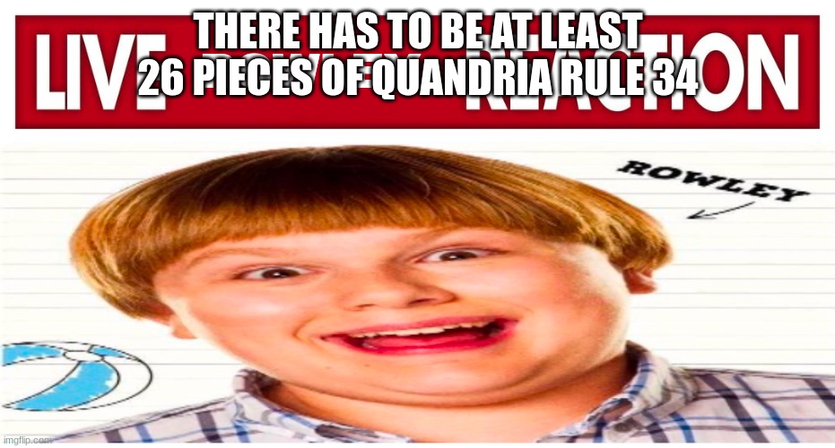 Live rowley reaction | THERE HAS TO BE AT LEAST 26 PIECES OF QUANDRIA RULE 34 | image tagged in live rowley reaction | made w/ Imgflip meme maker