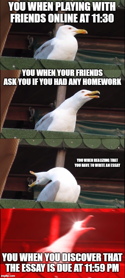 school work | image tagged in school | made w/ Imgflip meme maker