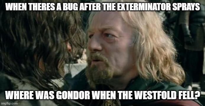 Where was Gondor when the Westfold fell? | WHEN THERES A BUG AFTER THE EXTERMINATOR SPRAYS; WHERE WAS GONDOR WHEN THE WESTFOLD FELL? | image tagged in where was gondor,bugs | made w/ Imgflip meme maker