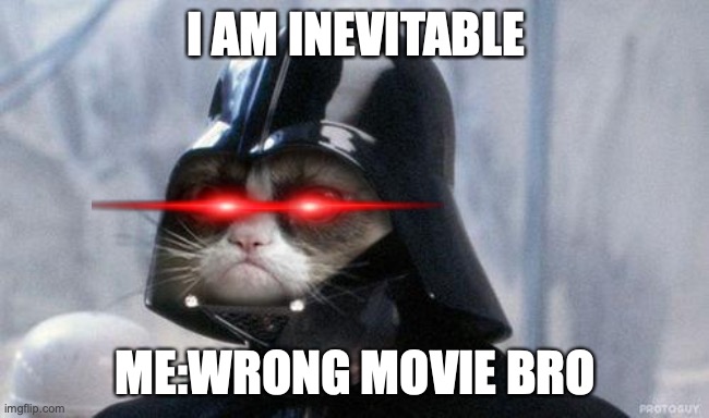 Grumpy Cat Star Wars Meme | I AM INEVITABLE; ME:WRONG MOVIE BRO | image tagged in memes,grumpy cat star wars,grumpy cat | made w/ Imgflip meme maker