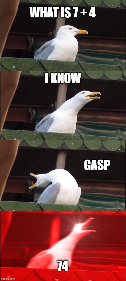 Inhaling Seagull | WHAT IS 7 + 4; I KNOW; GASP; 74 | image tagged in memes,inhaling seagull | made w/ Imgflip meme maker