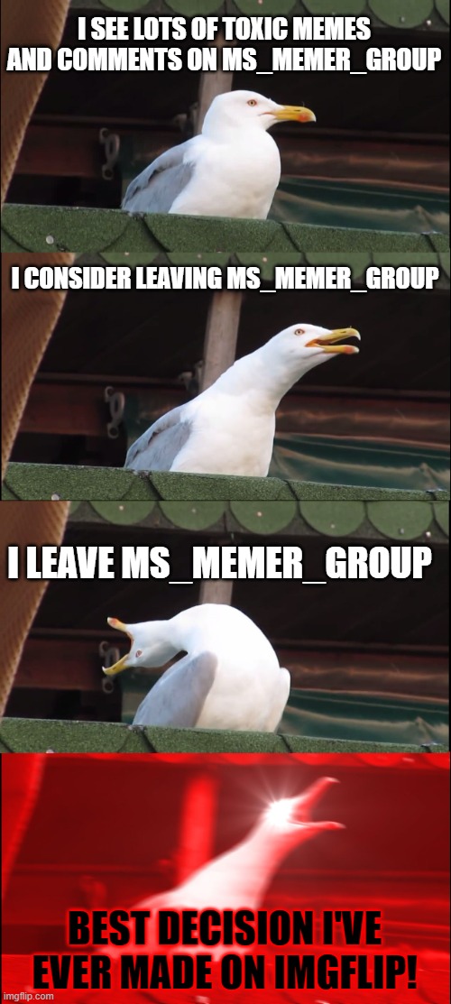 NO REGRETS! =D | I SEE LOTS OF TOXIC MEMES AND COMMENTS ON MS_MEMER_GROUP; I CONSIDER LEAVING MS_MEMER_GROUP; I LEAVE MS_MEMER_GROUP; BEST DECISION I'VE EVER MADE ON IMGFLIP! | image tagged in memes,inhaling seagull,no regrets,happy | made w/ Imgflip meme maker