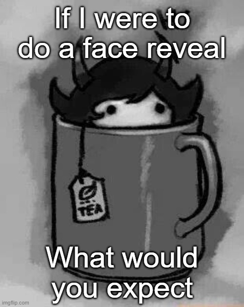 .-. | If I were to do a face reveal; What would you expect | image tagged in kanaya in my tea | made w/ Imgflip meme maker