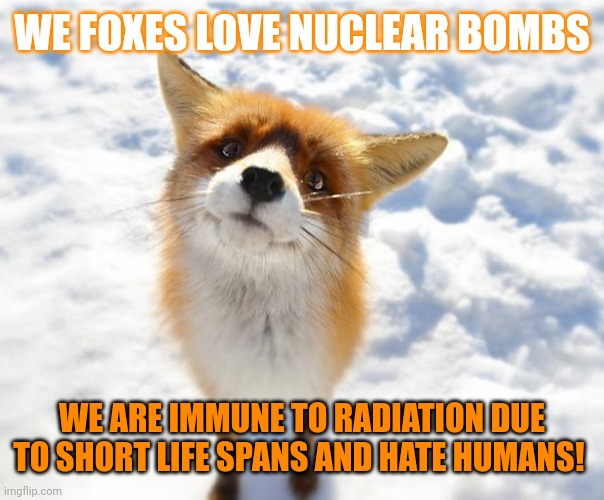 What Does The Fox Say? | WE FOXES LOVE NUCLEAR BOMBS; WE ARE IMMUNE TO RADIATION DUE TO SHORT LIFE SPANS AND HATE HUMANS! | image tagged in what does the fox say,nukes,fox | made w/ Imgflip meme maker