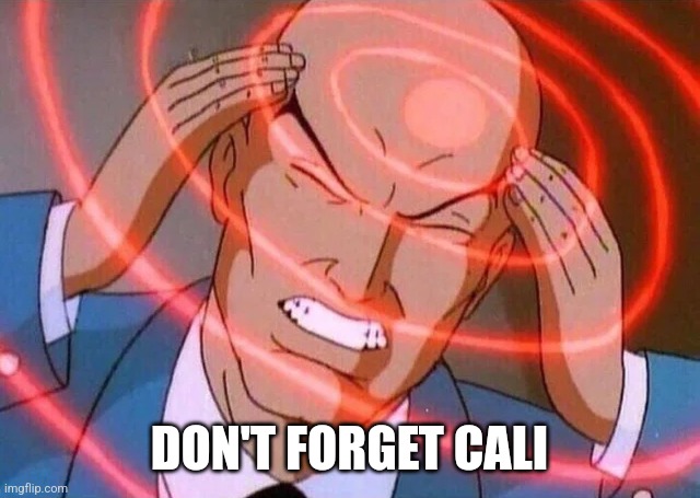 Trying to remember | DON'T FORGET CALI | image tagged in trying to remember | made w/ Imgflip meme maker