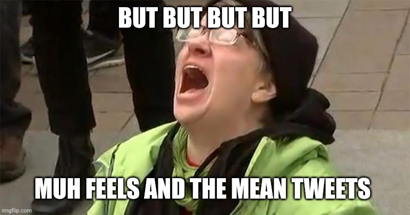 crying liberal | BUT BUT BUT BUT MUH FEELS AND THE MEAN TWEETS | image tagged in crying liberal | made w/ Imgflip meme maker