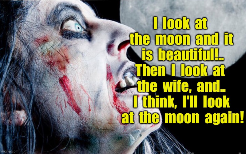 Moon is beautiful | I  look  at  the  moon  and  it  is  beautiful!.. Then  I  look  at  the  wife,  and.. I  think,  I'll  look  at  the  moon  again! | image tagged in wife moon watching,moon beautiful,look at wife,look at moon,again,dark humour | made w/ Imgflip meme maker
