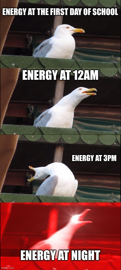 Inhaling Seagull | ENERGY AT THE FIRST DAY OF SCHOOL; ENERGY AT 12AM; ENERGY AT 3PM; ENERGY AT NIGHT | image tagged in memes,inhaling seagull | made w/ Imgflip meme maker