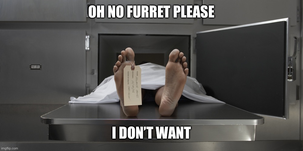 Morgue feet | OH NO FURRET PLEASE I DON’T WANT | image tagged in morgue feet | made w/ Imgflip meme maker