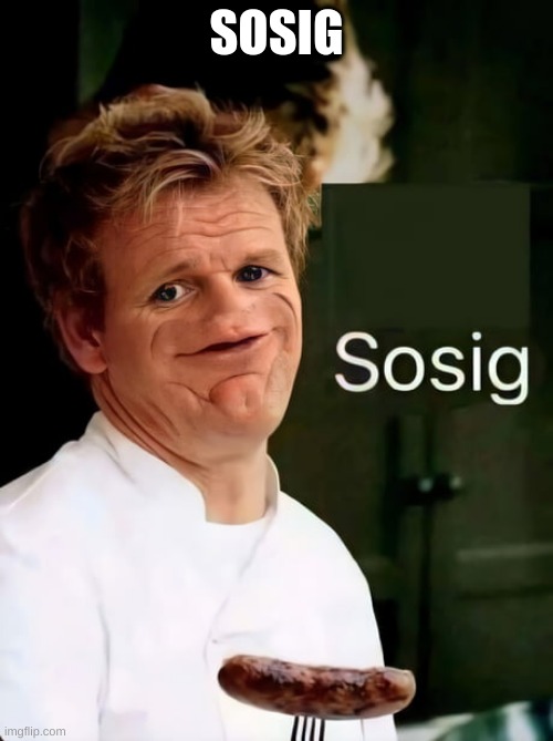 sosig | SOSIG | image tagged in sosig | made w/ Imgflip meme maker