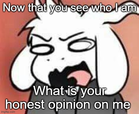 T-T | Now that you see who I am; What is your honest opinion on me | image tagged in asriel scream | made w/ Imgflip meme maker