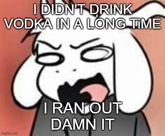 now what | I DIDN'T DRINK VODKA IN A LONG TiME; I RAN OUT
DAMN IT | image tagged in asriel scream | made w/ Imgflip meme maker