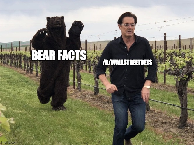 running from bear | /R/WALLSTREETBETS; BEAR FACTS | image tagged in running from bear,wallstreetbetsOGs | made w/ Imgflip meme maker