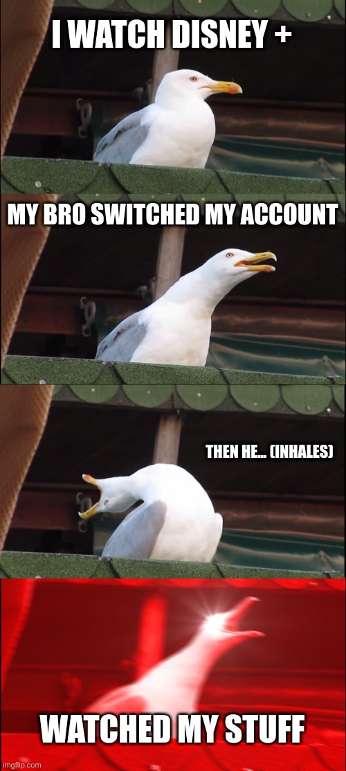 Inhaling Seagull | I WATCH DISNEY +; MY BRO SWITCHED MY ACCOUNT; THEN HE... (INHALES); WATCHED MY STUFF | image tagged in memes,inhaling seagull | made w/ Imgflip meme maker