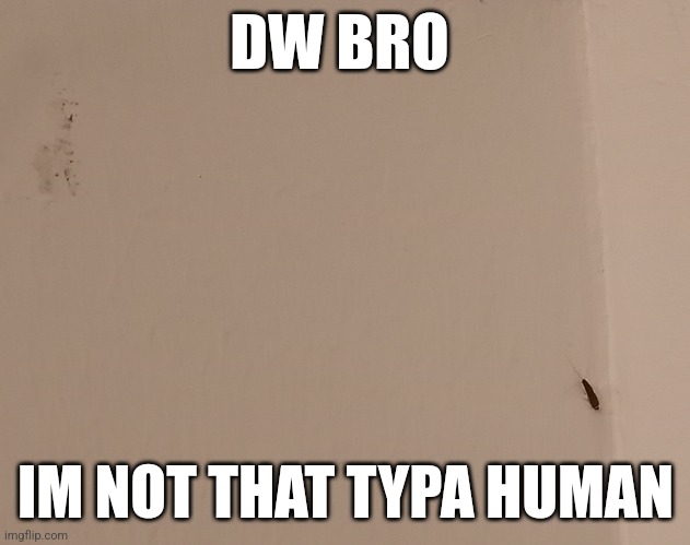 What could he possibly be scared of?? | DW BRO; IM NOT THAT TYPA HUMAN | image tagged in wall,bug | made w/ Imgflip meme maker