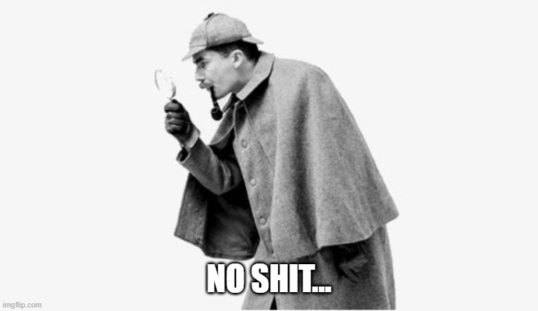 no shit sherlock  | NO SHIT... | image tagged in no shit sherlock | made w/ Imgflip meme maker