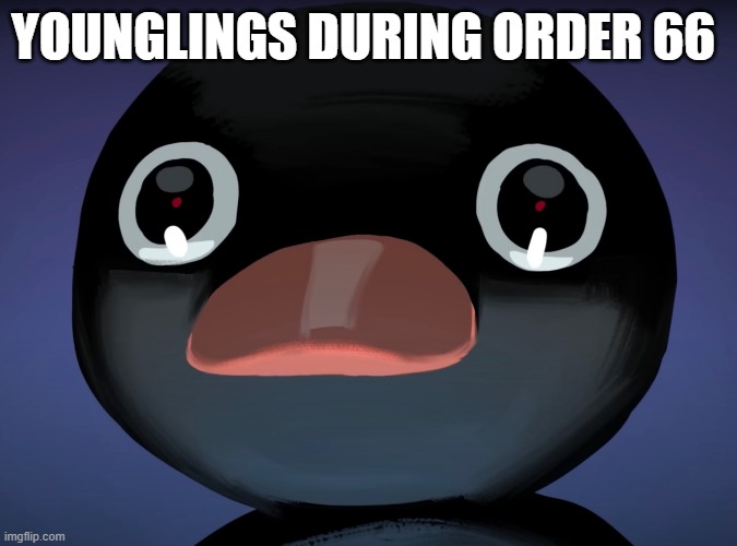 Pingu stare | YOUNGLINGS DURING ORDER 66 | image tagged in pingu stare | made w/ Imgflip meme maker