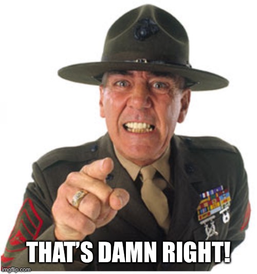 Marine Drill Sargeant | THAT’S DAMN RIGHT! | image tagged in marine drill sargeant | made w/ Imgflip meme maker