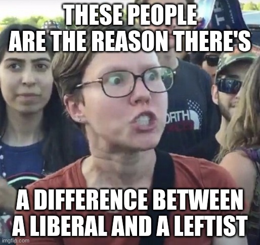 the truth | THESE PEOPLE ARE THE REASON THERE'S; A DIFFERENCE BETWEEN A LIBERAL AND A LEFTIST | image tagged in triggered feminist | made w/ Imgflip meme maker