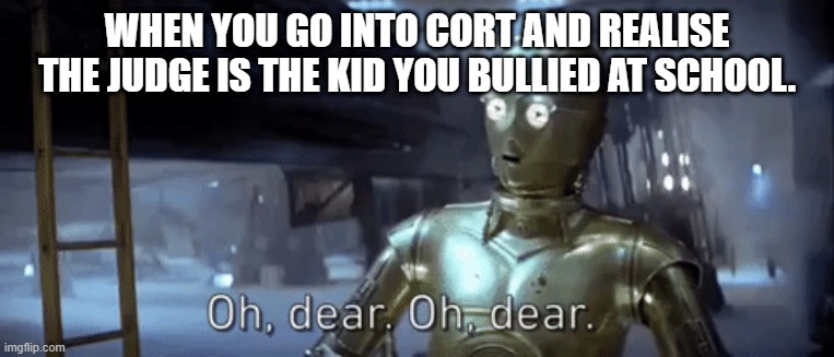 nooo | WHEN YOU GO INTO CORT AND REALISE THE JUDGE IS THE KID YOU BULLIED AT SCHOOL. | image tagged in c-3po | made w/ Imgflip meme maker