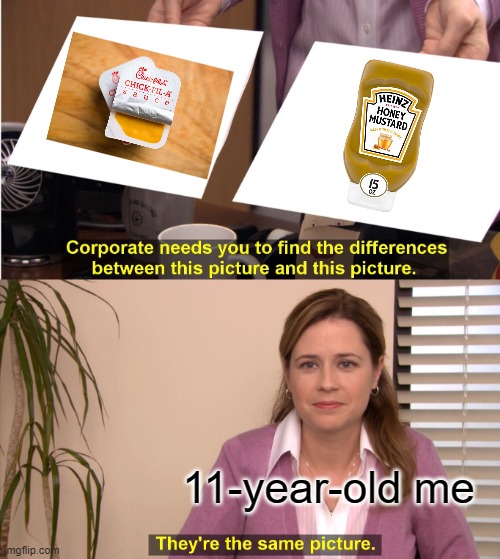 Honey Mustard and Chick-fil-A sauce | 11-year-old me | image tagged in memes,they're the same picture | made w/ Imgflip meme maker