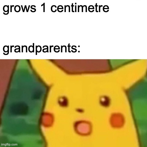 Surprised Pikachu Meme | grows 1 centimetre; grandparents: | image tagged in memes,surprised pikachu | made w/ Imgflip meme maker