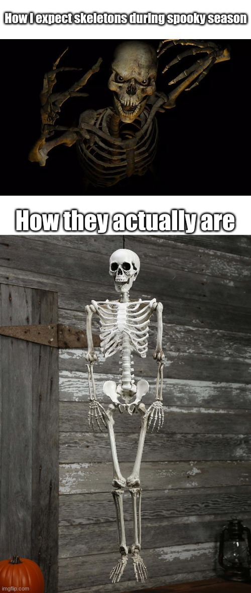 Ruined my hopes and dreams | How I expect skeletons during spooky season; How they actually are | image tagged in skeleton,spooky scary skeleton,halloween | made w/ Imgflip meme maker