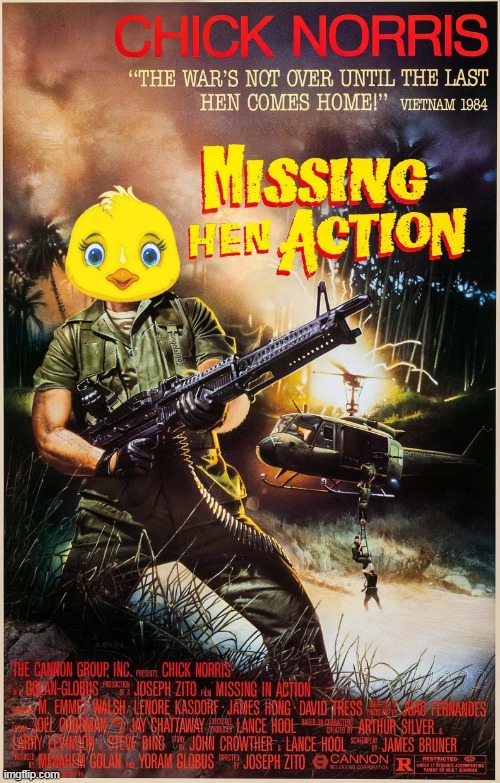 image tagged in chuck norris,chicken,chick,chick norris,hen,missing in action | made w/ Imgflip meme maker