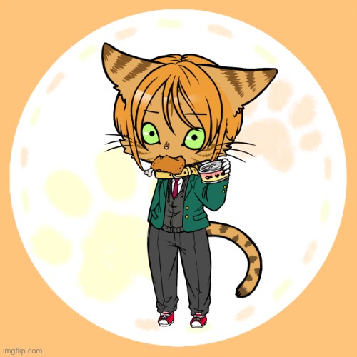 My cat as a picrew person | made w/ Imgflip meme maker