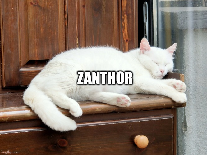 Zzzz..... | ZANTHOR | image tagged in zzzz | made w/ Imgflip meme maker