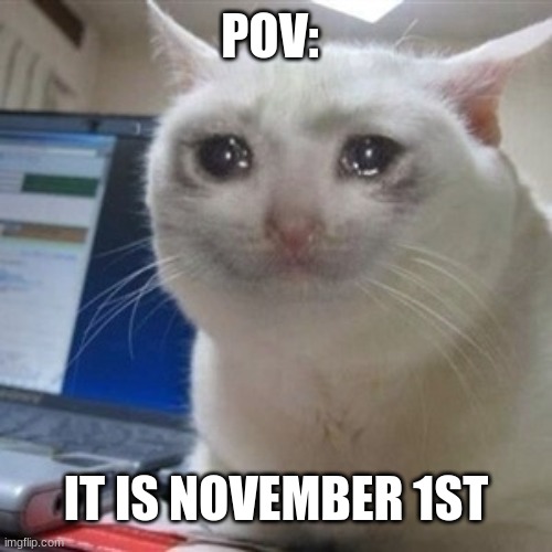 Press F for Respect | POV:; IT IS NOVEMBER 1ST | image tagged in crying cat | made w/ Imgflip meme maker