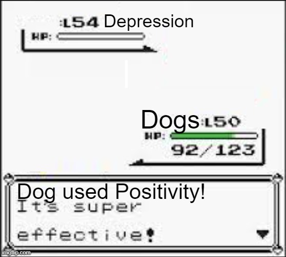 Ah, doggos, the number one anti-depressant. | Depression; Dogs; Dog used Positivity! | image tagged in pokemon super effective blank | made w/ Imgflip meme maker