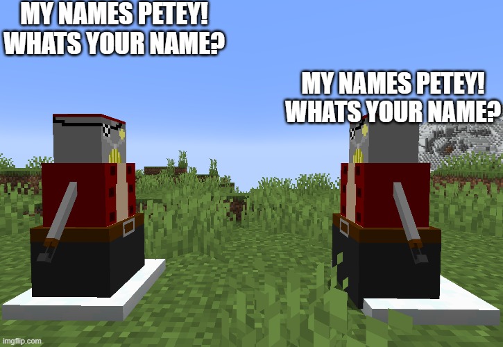 My names petey! | MY NAMES PETEY! WHATS YOUR NAME? MY NAMES PETEY! WHATS YOUR NAME? | image tagged in meta runner | made w/ Imgflip meme maker