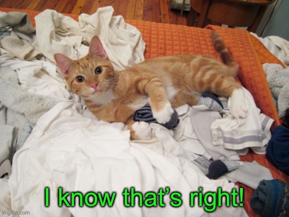I know that’s right! | made w/ Imgflip meme maker