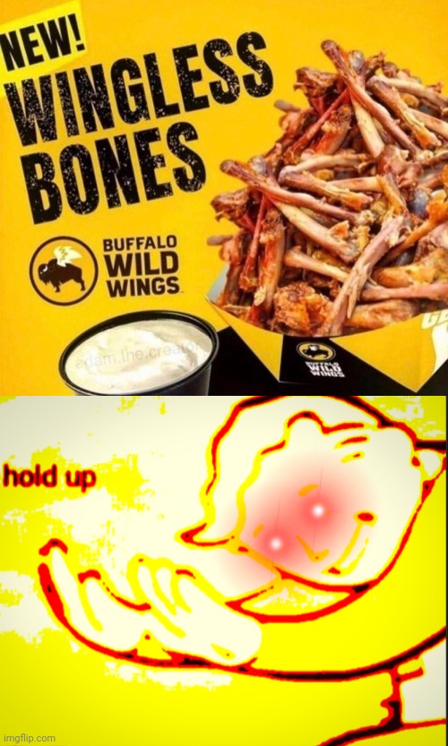 Wingless bones | image tagged in deep fried hold up,bones,memes,reposts,repost,bone | made w/ Imgflip meme maker