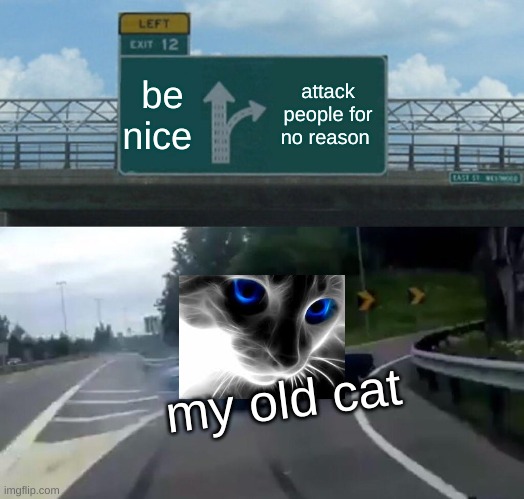 Left Exit 12 Off Ramp | be nice; attack people for no reason; my old cat | image tagged in memes,left exit 12 off ramp | made w/ Imgflip meme maker